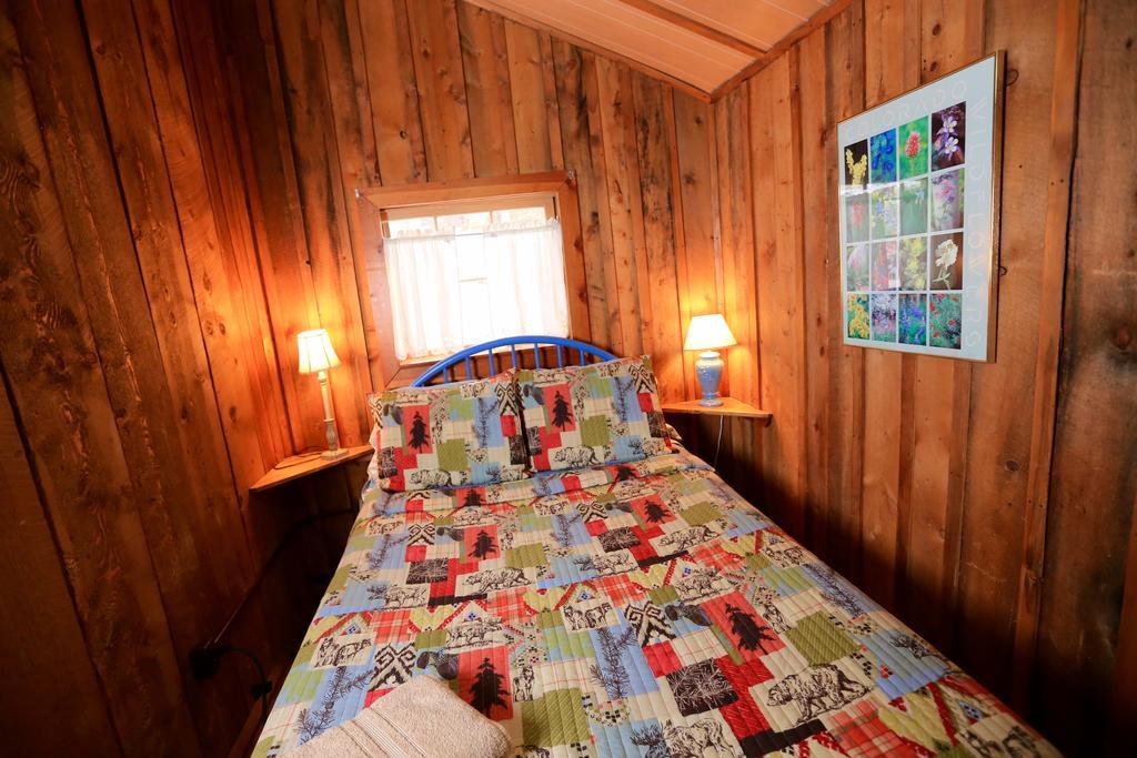 The Cabins At Historic Columbine Clark 外观 照片